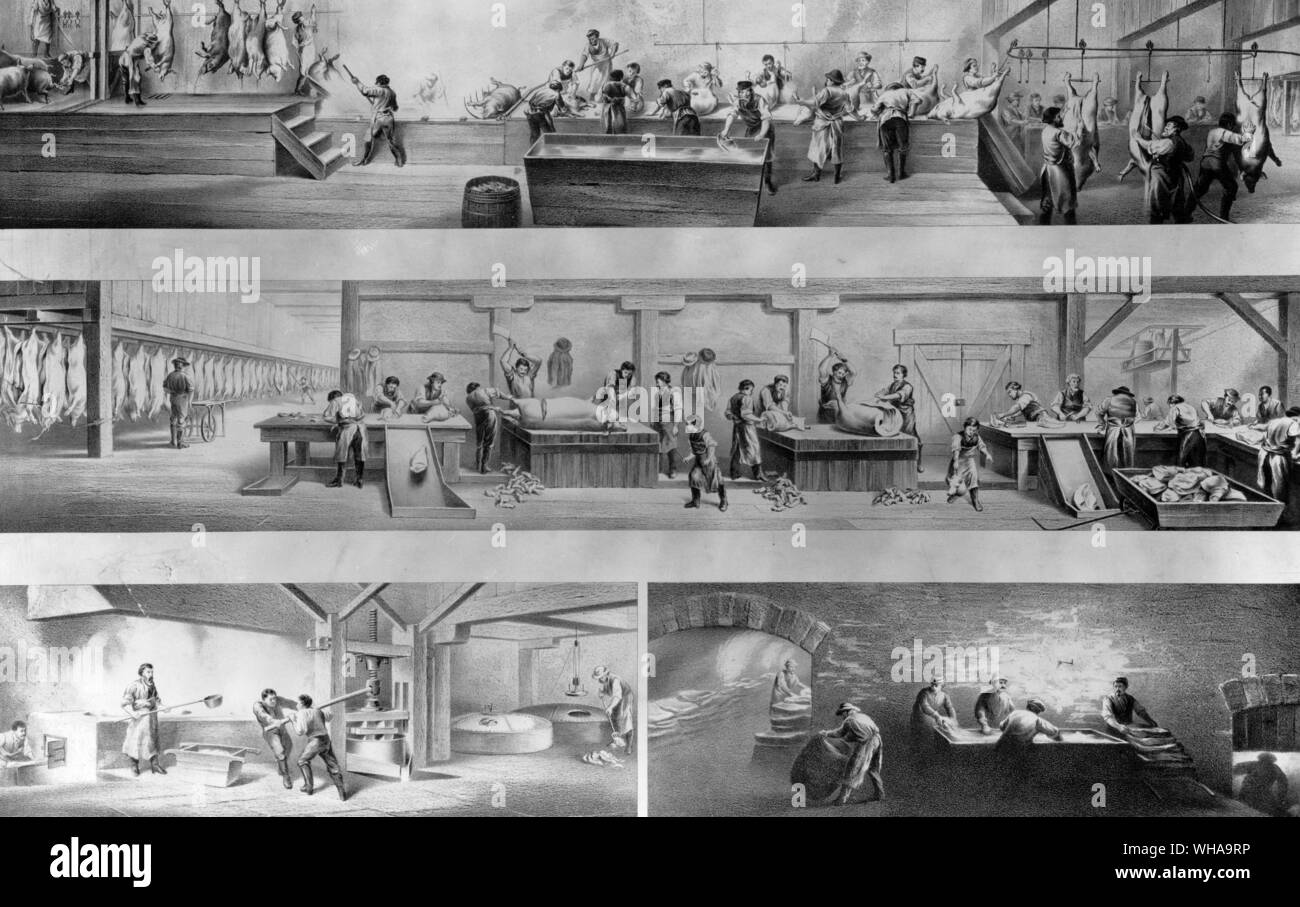 Dis-Montagelinie in einem Schlachthof 1872 nach einer Skizze von Forney Holzkohle Stockfoto