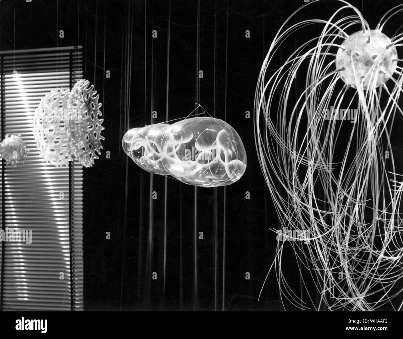 Drei verschiedene Teile des menschlichen Zelle, die aus der 8ft Upjohn Modell einer Zelle kommen. Von links nach rechts: der Golgi-apparat, Mitochondrien, und das Zentrosom links. Dieses Programm, die letzte Plage, war der zweite der beiden, das erste Sein Was ist das Leben? . 1959 Stockfoto