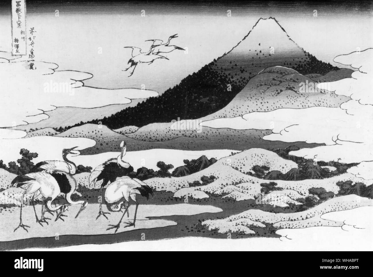 "Fuji von Umesawa' aus '36 Ansichten des Berges Fuji' von Katsushika Hokusai 1760-1849. Gemischte Kraniche, einschließlich Rot - gekrönte Krane, in der Nähe des Fujisan dargestellt unterstützen die Überzeugung, dass Rot gekrönter Krane zu Winter im Südwesten von Japan verwendet Stockfoto