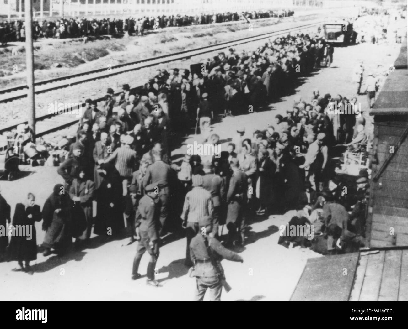 SS-Männer wählen Sie die ungarischen Juden auf der Rampe in Birkenau. Auf der linken Seite sind in der Lage, Männer, die in die Kaserne, die gesendet werden sollen, rechts alte Menschen und Frauen und Kinder, die in wenigen Augenblicken von der Rampe zu den nahe gelegenen Gaskammer marschierten. Stockfoto