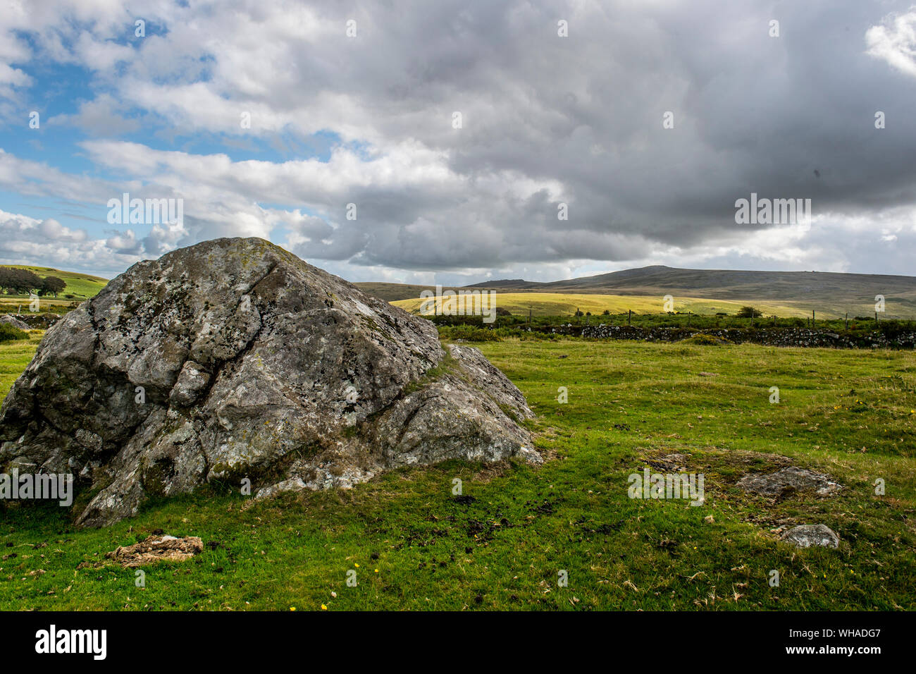 Sourton Down, Dartmoor Stockfoto
