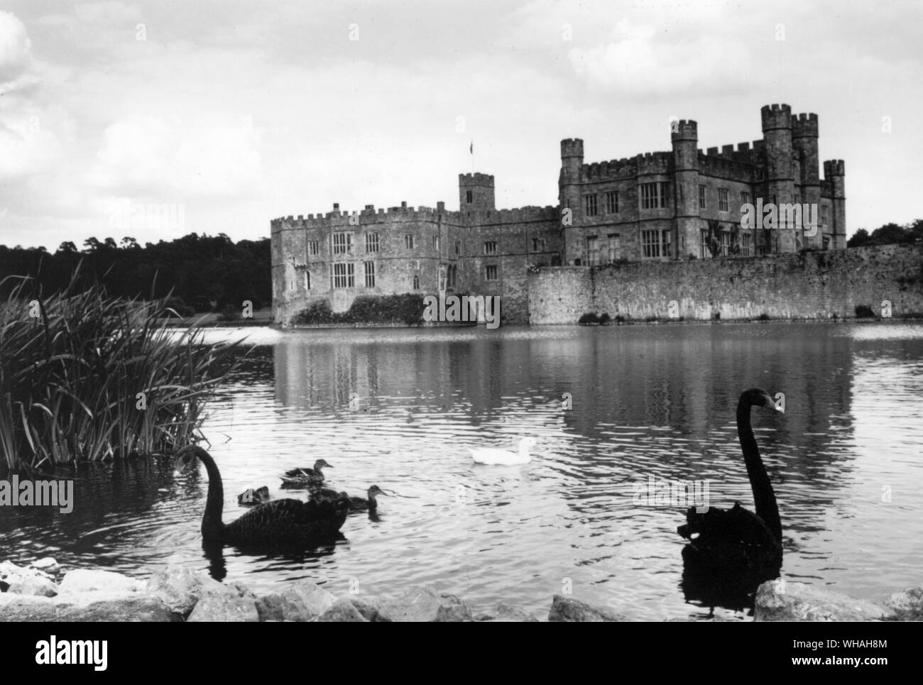 Leeds Castle Maidstone Kent Stockfoto
