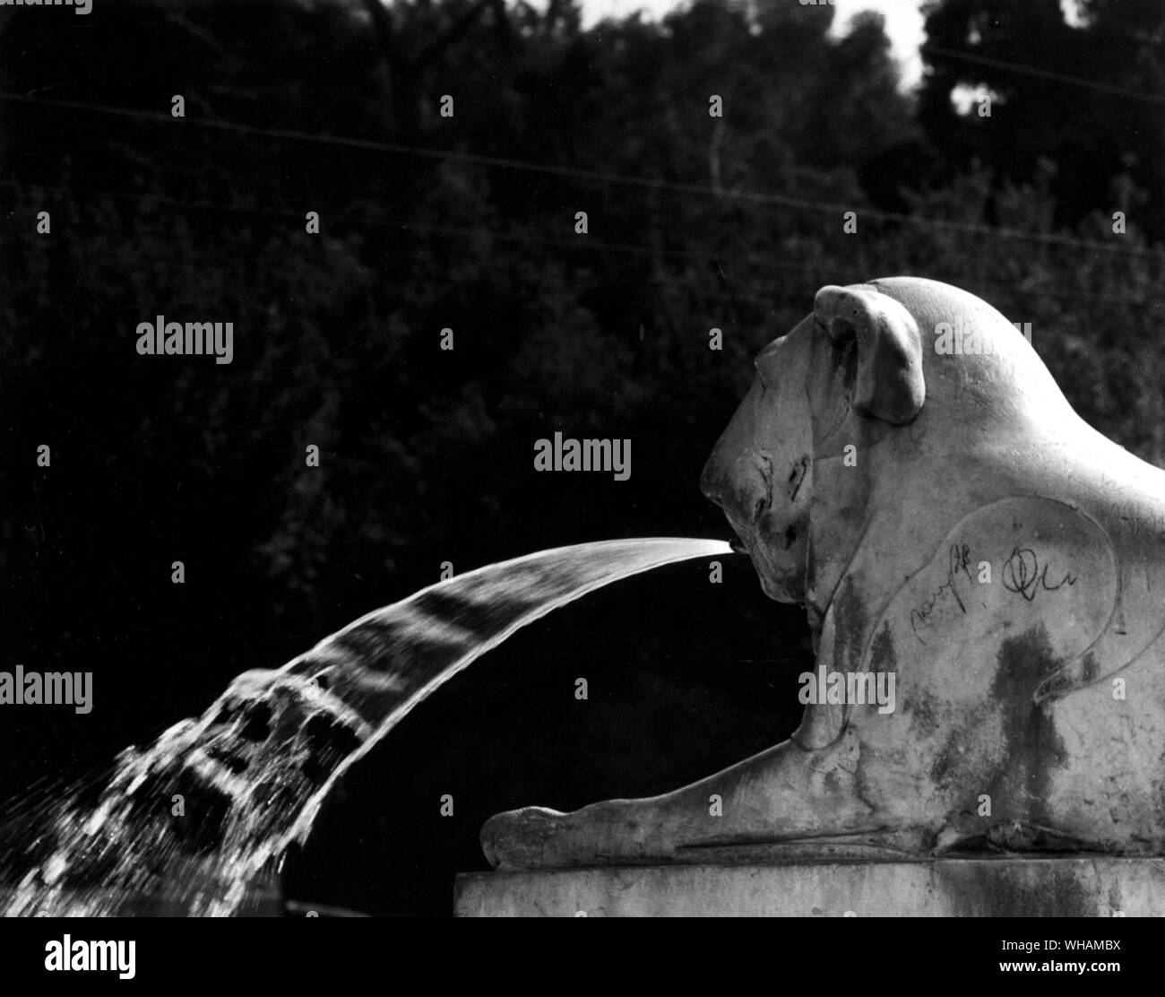 Brunnen auf der Piazza del Popolo entfernt. Eine der Lions in der zentralen Brunnen der Piazza del Popolo bläst ein Eis thin Wasserkeil Stockfoto