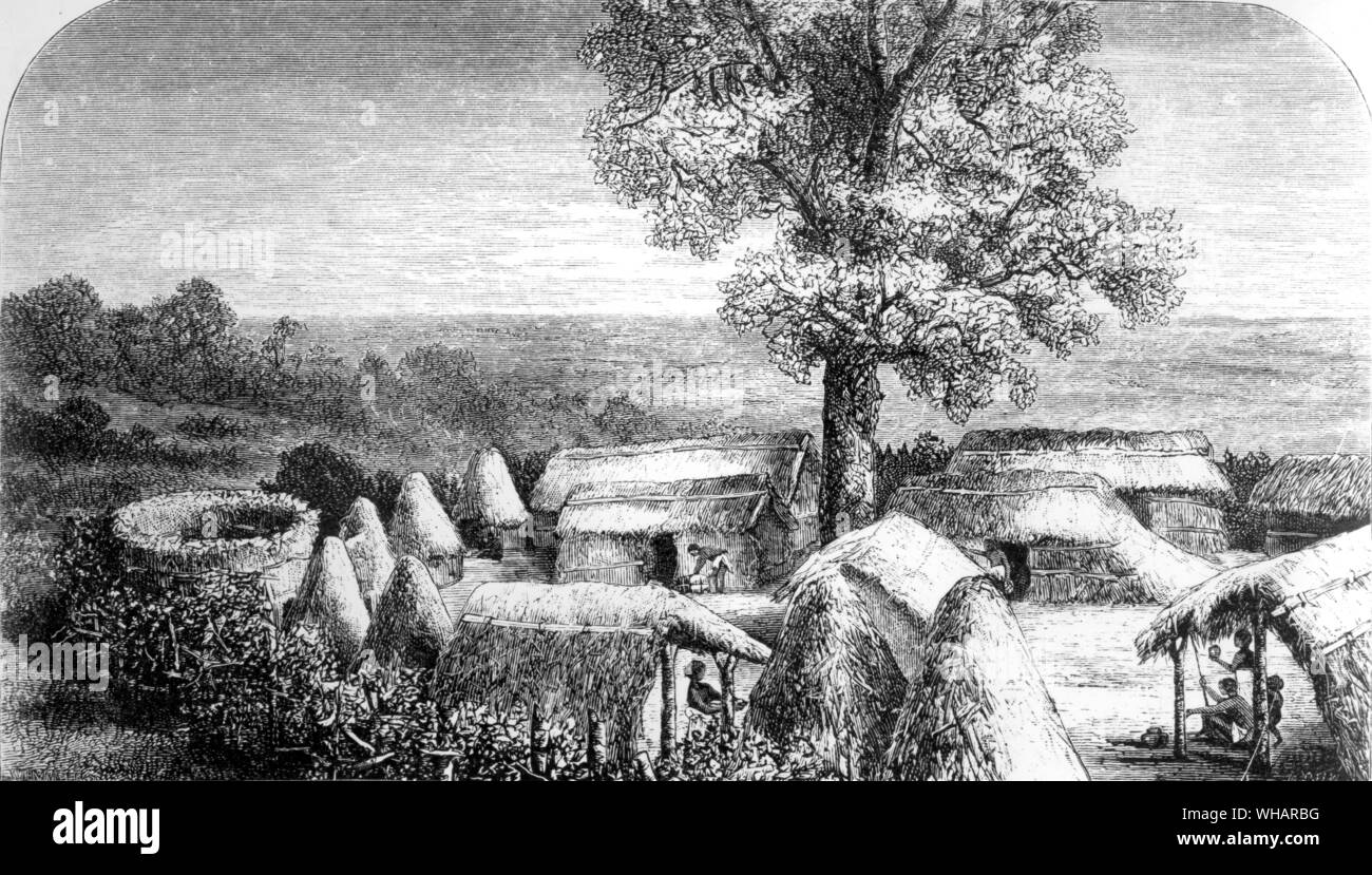 Temporäre Dorf, in dem sich Dr. Livingstone Körper vorbereitet wurde. Auf der linken Seite ist das stokade um den Körper, und der Baum hat eine Inschrift auf.. Zentralafrika 1. Mai 1873. . . . Livingstone, David Scottish Explorer und Missionar in Afrika; LED 1. Europäische expedition Victoria Falls 1855 zu entdecken, wiederentdeckt Lake Nyasa 1859 (zuvor von portugiesischen Entdecker im frühen siebzehnten Jahrhundert besucht) 1813-1873. . Stockfoto