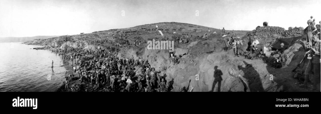 Der schottische Pferd bivouacking am Strand von Lala Baba Suvla Bay auf der Landung 3. September 1915. Der Strand war unter shell Feuer von einem 6 Zoll Waffe und Opfer bald aufgetreten Stockfoto
