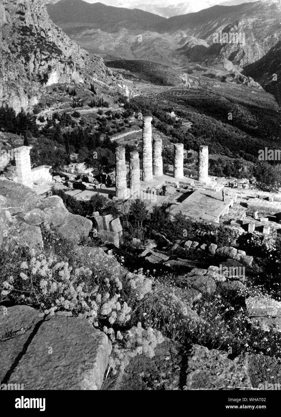 Delphi Stockfoto