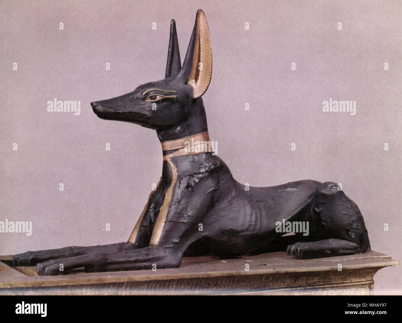 Tut-ench-Amun in der Form der Hund Anubis im Laufe seiner Transformationen.  Tukankhamen, von Christiane Desroches Noblecourt, Seite 252.. Anubis, ist  der griechische Name für den antiken Gott der Unterwelt in der ägyptischen