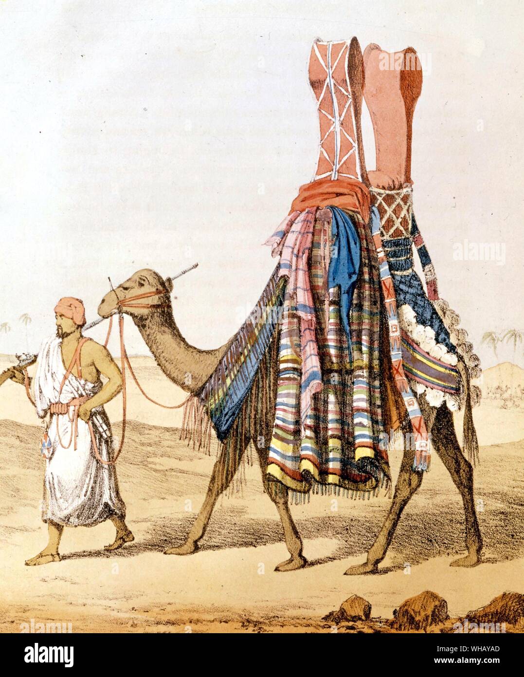Sahara Szene: camel Vermittlung einer Braut zu ihrem Ehemann von G. F. in Lyon. Die African Adventure - eine Geschichte von Afrikas Entdecker von Timothy Severin, Seite 122. Stockfoto