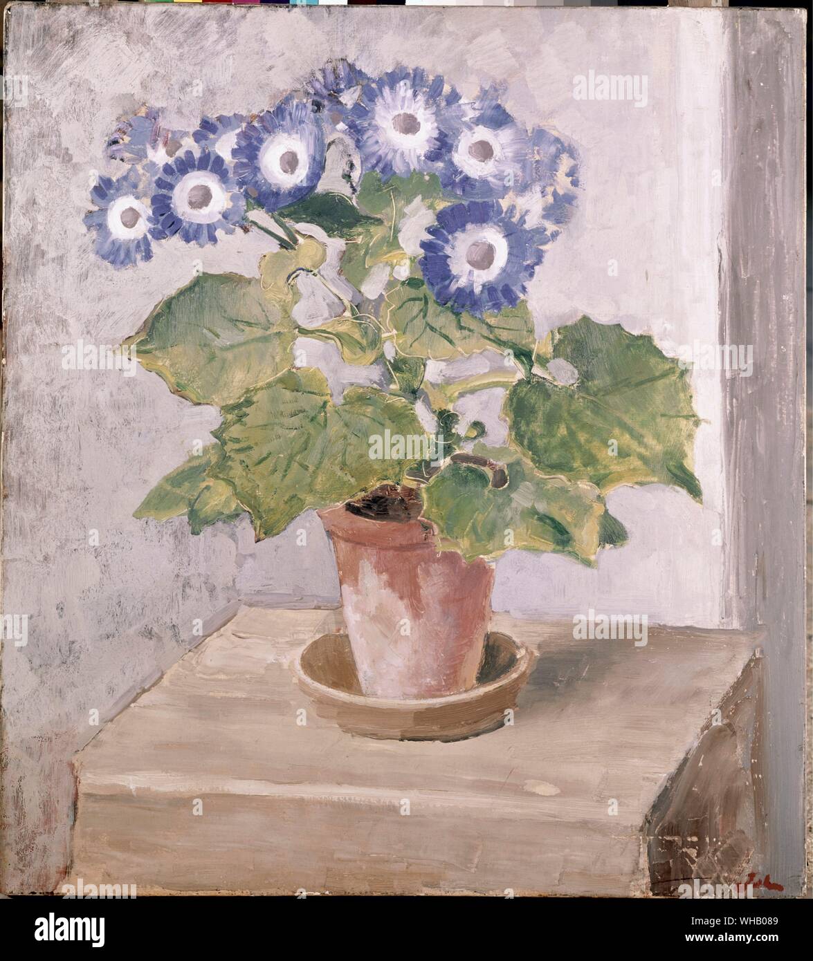Blau zinerarie-c 1928. von Augustus John (1878-1961). in der Tate Gallery, London. Augustus Edwin John OM (4. Januar 1878 - 13. Oktober 1961) war ein Walisischer Maler.. Stockfoto