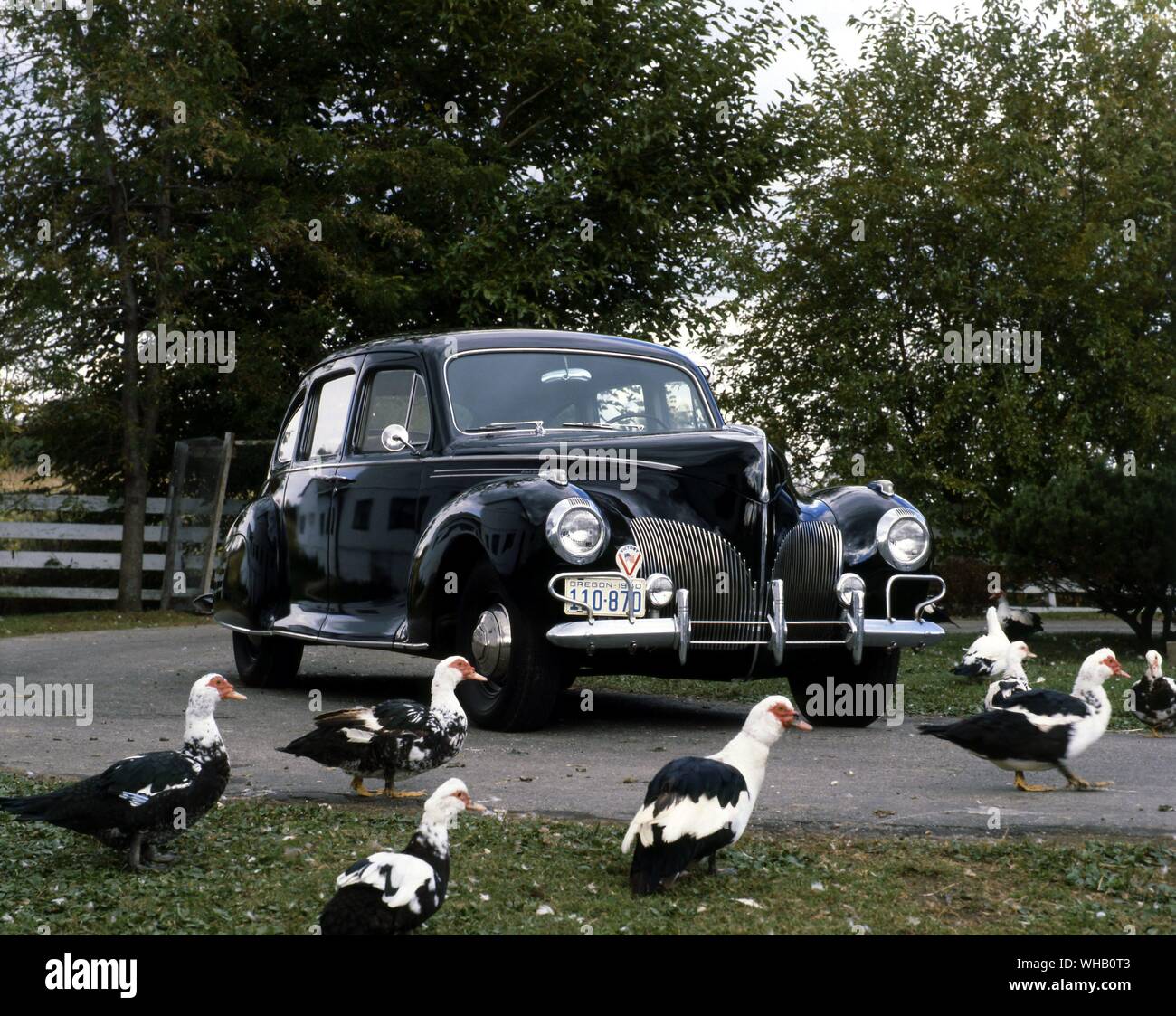 1940 Lincoln Zephyr V12-Limousine Modell 73. A.C.D Museum Stockfoto