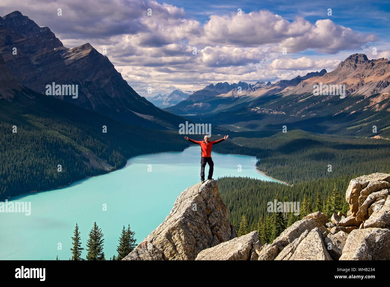 Mann (MODEL RELEASED) mit offenen Armen auf der Felsnase hoch über Peyto Lake, Banff National Park, der Kanadischen Rockies, Alberta, Kanada Stockfoto
