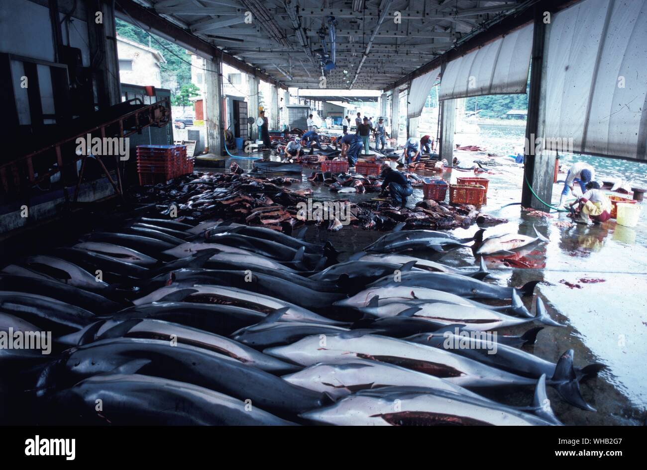 Japanische Fischmarkt Stockfoto