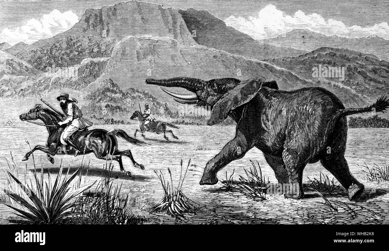 Die letzte Ladung. African Adventure. Die Albert N'yanza, große Becken des Nils. von Samuel White Baker. Macmillan, London 1866.. Stockfoto