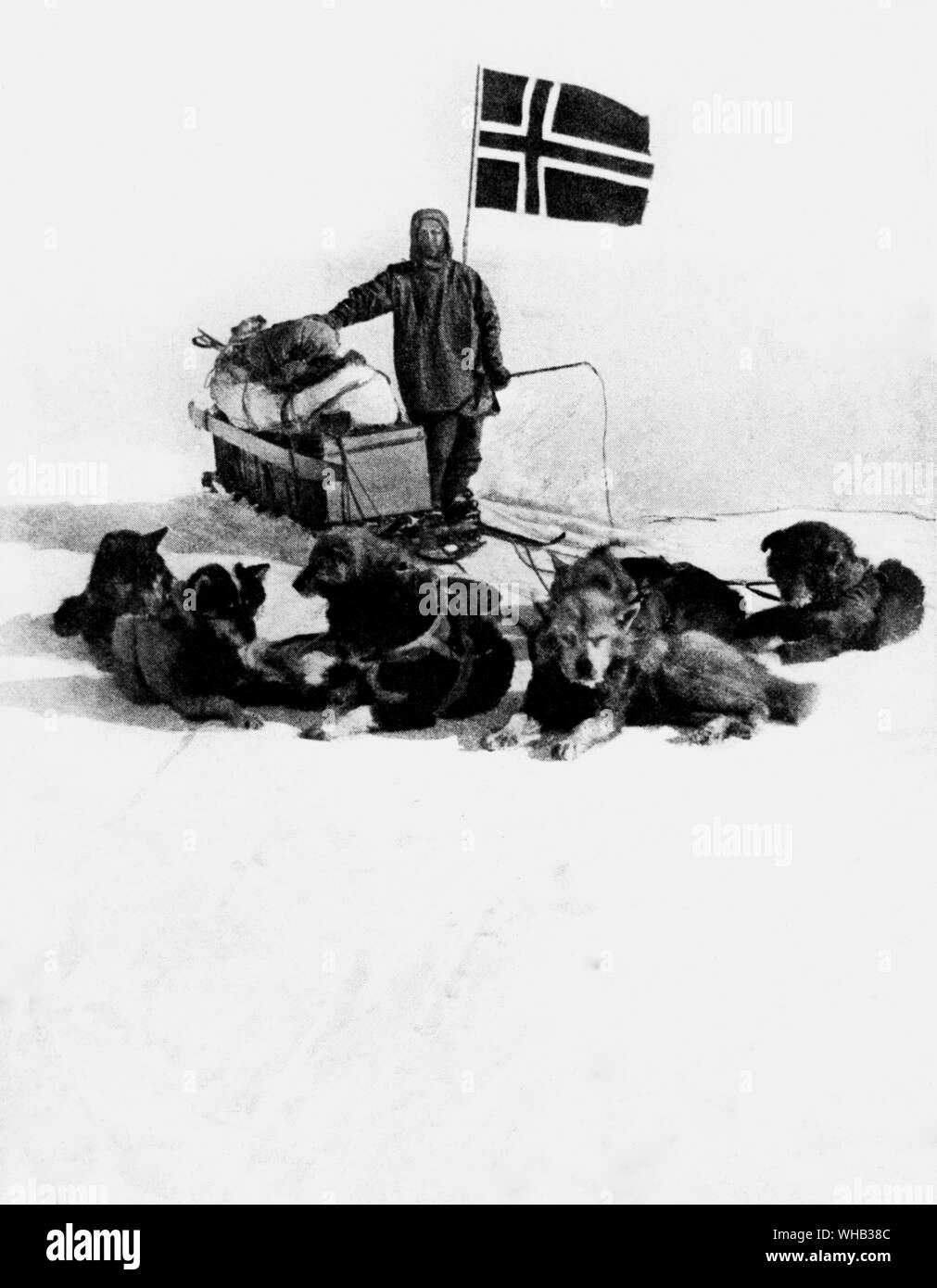 Roald Amundsen am Südpol mit seinen Hunden Stockfoto
