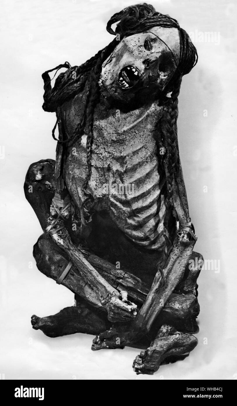 Die Mumie von einer Frau aus dem Alten Peru. Stockfoto