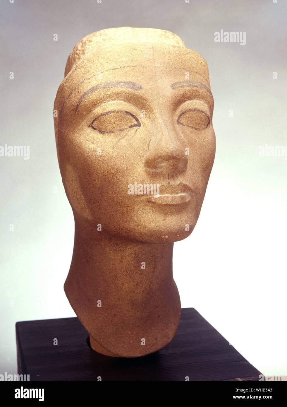 Der Kopf der Königin Nofretete der 18. ägyptischen Dynastie unvollendete Quarzit aus Tel el-Amarna, Ägypten Stockfoto