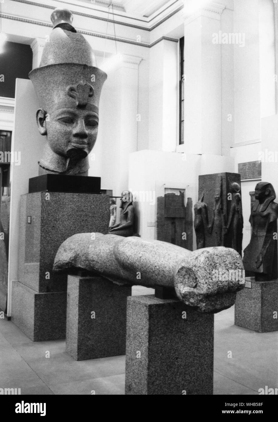 Kopf und Arm in rotem Granit eines kolossalen Statue von Tuthensis III von Karnak - British Museum - Thutmose III (manchmal lesen wie Thutmosis oder Thutmosis III und Bedeutung Thoth geboren ist) war der sechste Pharao der achtzehnten Dynastie. Während der ersten 22 Jahre des Thutmose Herrschaft war er - Regent mit seiner Stiefmutter Hatschepsut. Während sie zuerst auf überlebende Denkmäler dargestellt, und zwar sowohl die üblichen königlichen Namen und Insignia zugewiesen und auch offensichtliche Dienstalter über den anderen gegeben. Nach ihrem Tod und seine anschließende Verstärkung der Macht in seinem Königreich, er schuf das größte Reich Ägypten hatten Stockfoto