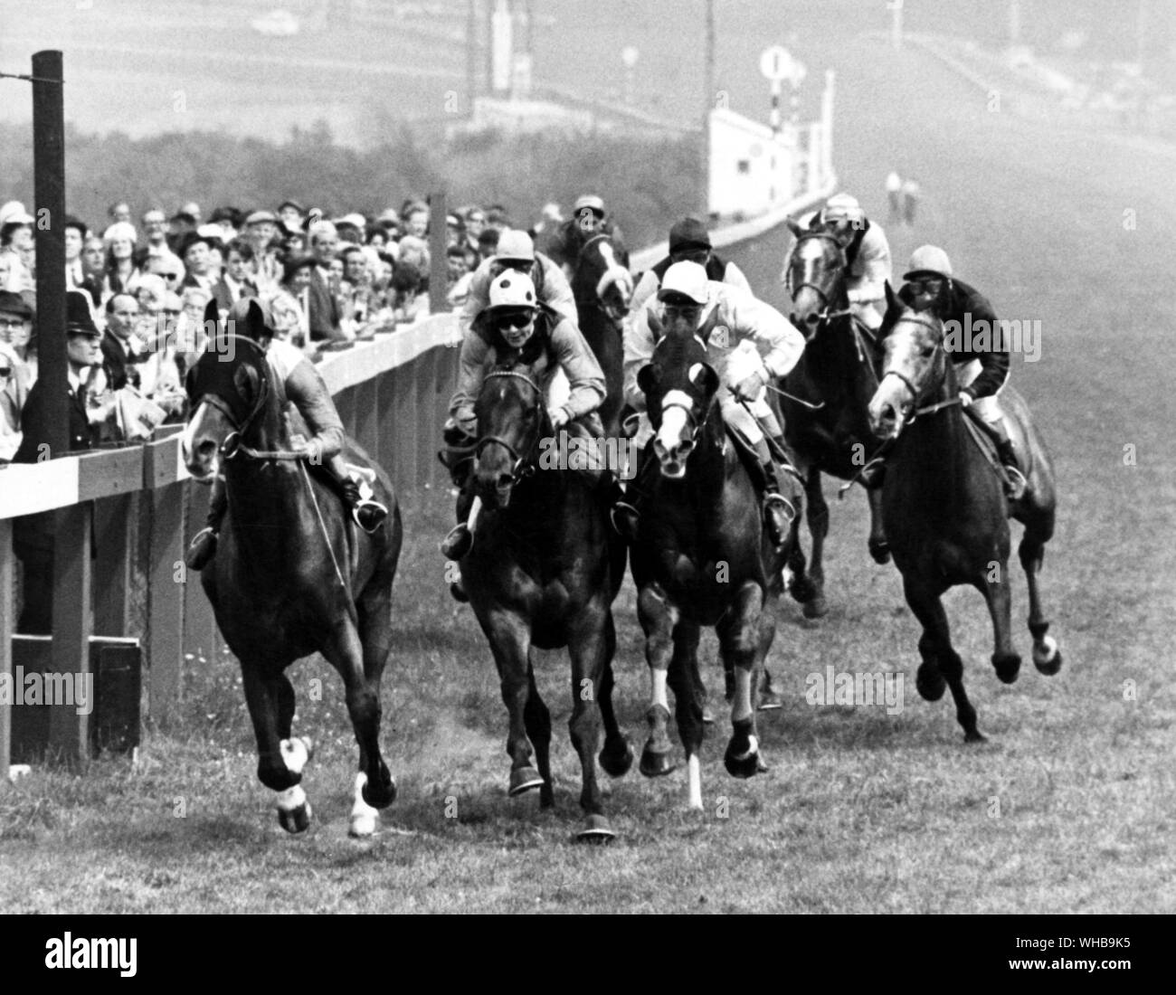 Racing in Goodwood: Chichester Stakes Handicap. Herr C Varney's Rosenkranz Lodge, P Tulk gewinnen (links) von Highroy, P Robinson und nicht bewährten, S Smith. 2. August 1963 Stockfoto