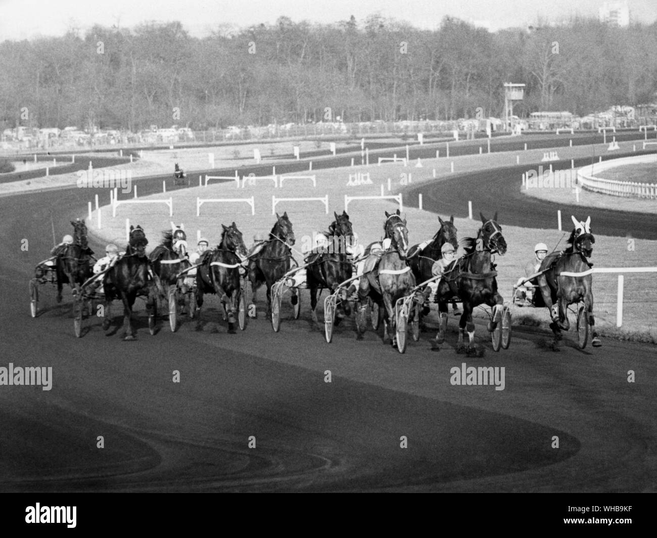 Prix d'Amerique Trab Rennen: Tidalium Pelo Sieger. 31. Januar 1971 Stockfoto