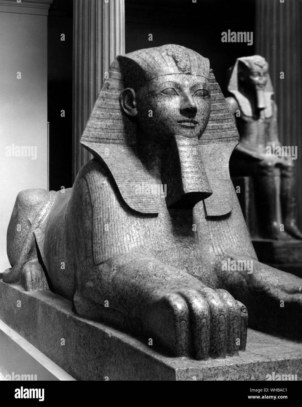 Königin Hatschepsut als Sphinx. Ägyptische XVIII Dynastie Stockfoto