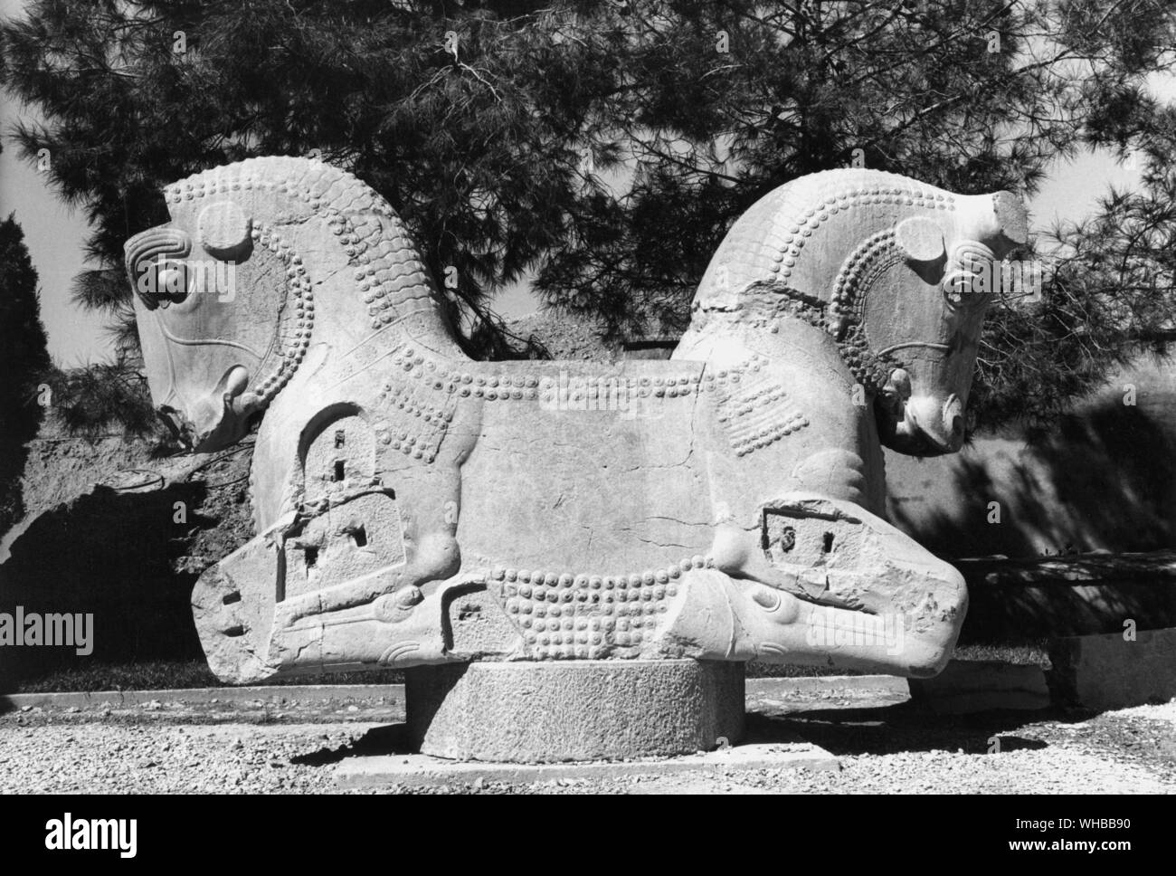 Apadana Palace, Persepolis: Alte Stadt in Persien, Hauptstadt des persischen Reichs, gegründet von Darius. In der Nähe von modernes Shiraz, Iran. . Zwei vorangegangen Stier Skulpturen verwendet wurden, oben auf die Säulen des Palastes zu verzieren Stockfoto