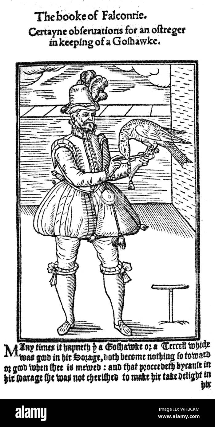 Falknerei - ein Herr aus dem 17. Jahrhundert mit seinem habicht Stockfoto