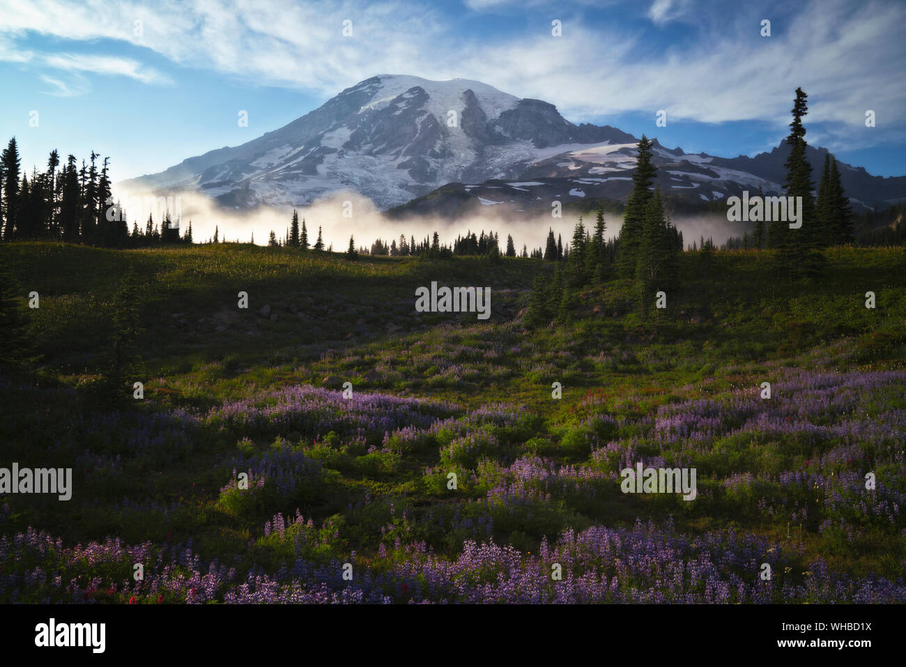 Frische herbst Schneefall auf höchsten Washington's Peak, Mt Rainier, in Plummer Peak Tarn am Mount Rainier National Park wider. Stockfoto