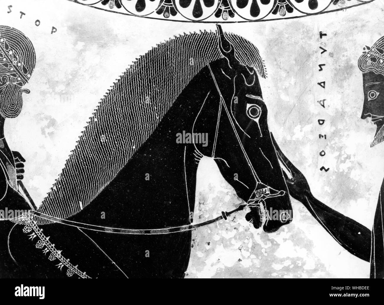 Dachgeschoss schwarze Figur Vase von exekias: Rollen Pferd Stockfoto