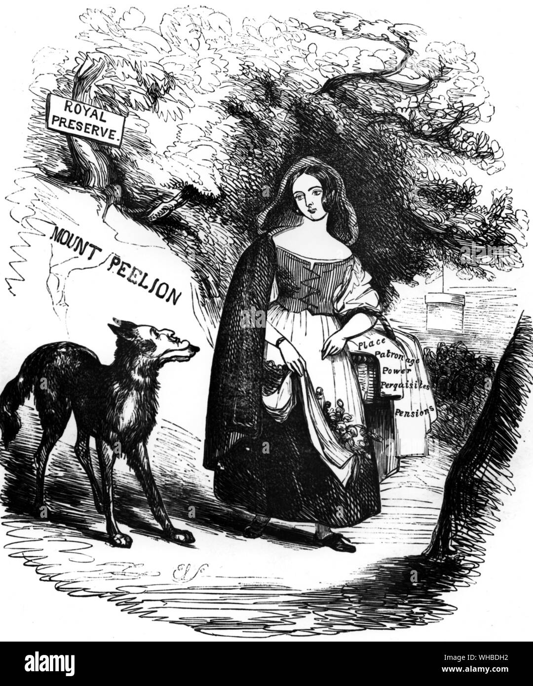 Die Royal Red Riding Hood und der Ministertagung Wolf aus dem Punch Pencilings Nr. IX. Stockfoto