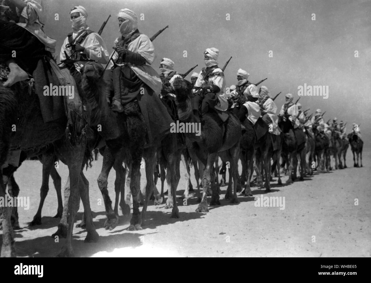 Compagnie meharistes de la Polizei du Desert.. Stockfoto