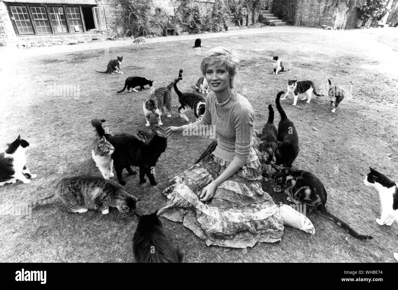 Celia Hammond mit ihren Katzen. Celia Hammond war ein supermodel in den 1960er Jahren und hat seit dem berühmten als Kämpfer gegen Pelz und für die Kastration von Katzen die Feral Bevölkerung zu kontrollieren. . Stockfoto