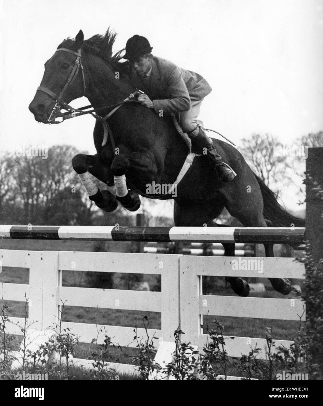 David Broome reiten das Pferd Wildfire III springen einem Pfosten und Geländer Zaun während des Trainings für die Olympischen Spiele 1960 in Arundel Stockfoto