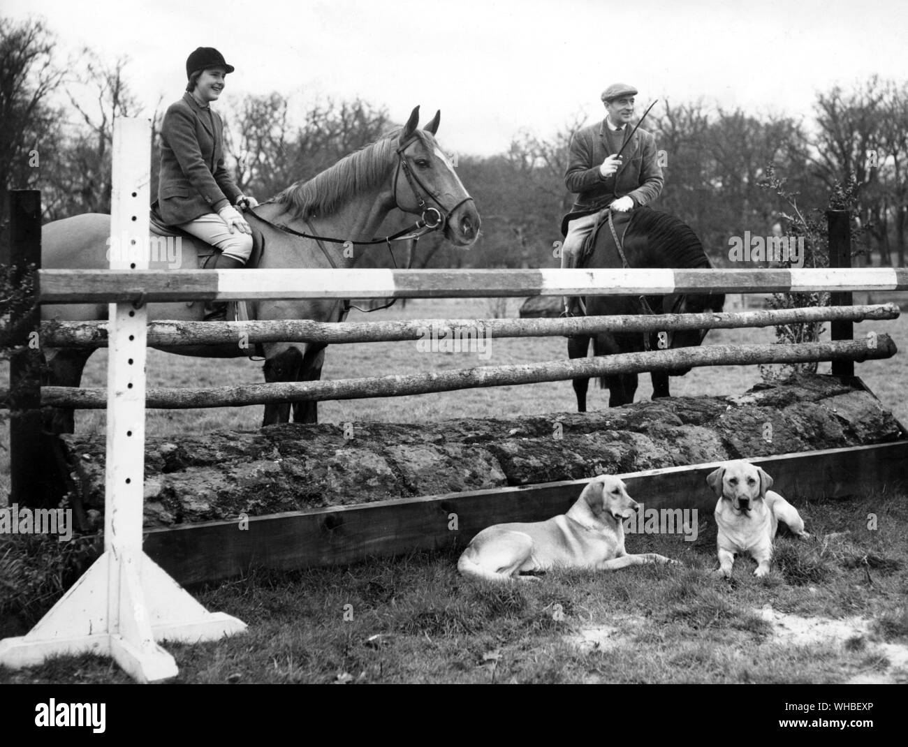 Lady Sarah Fitzalan Howard die 18-jährige Tochter des Herzogs und der Herzogin von Norfolk, montiert auf einem Französischen arabischen Pferd Brule Tout und ihr Trainer Col Talbot Ponsonby Vermessung einige der Sprünge in Arundel. Lady Sarah Golden Labrador Hunde Bess und Nickel rest vor einem der Sprünge 1960 Stockfoto