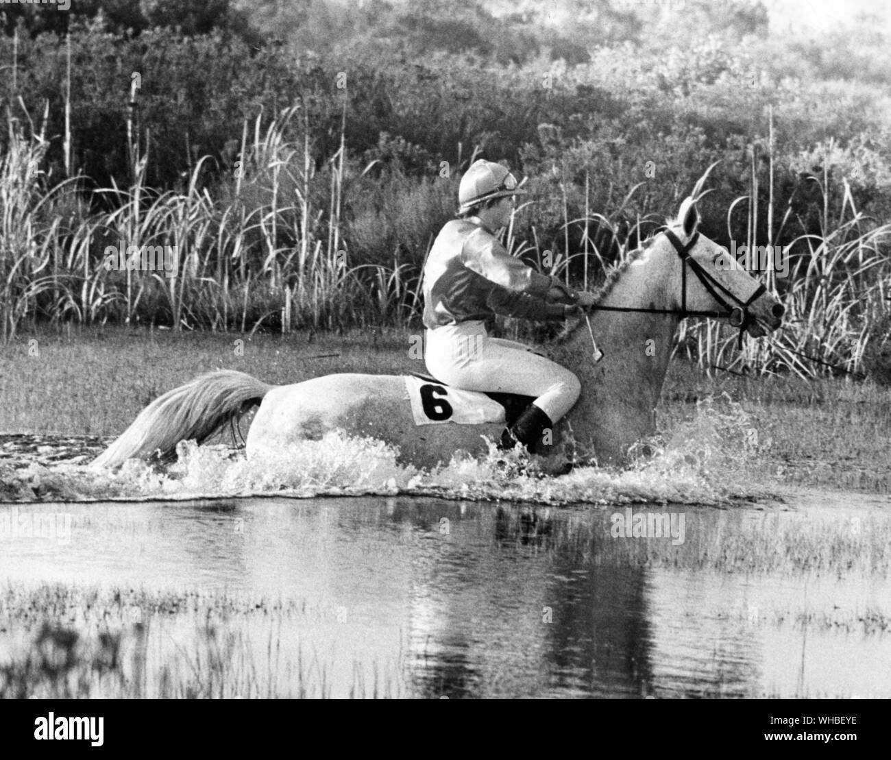 Judy Hinderks reiten das Pferd High Noon durch das tiefe Wasser während eines Cross Country event Stockfoto