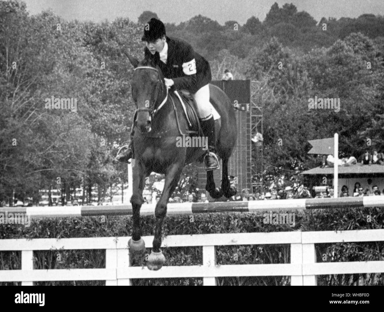 Jane Bullen erste Frau Mitglied der British Olympic Eqestrian Team übernimmt einen Sprung auf dem Pferd Unser Nobby, wie die britische Mannschaft eine Goldmedaille im dreitägigen Reiterfall in der Olympischen Spielen 1968 in Mexiko City Stockfoto