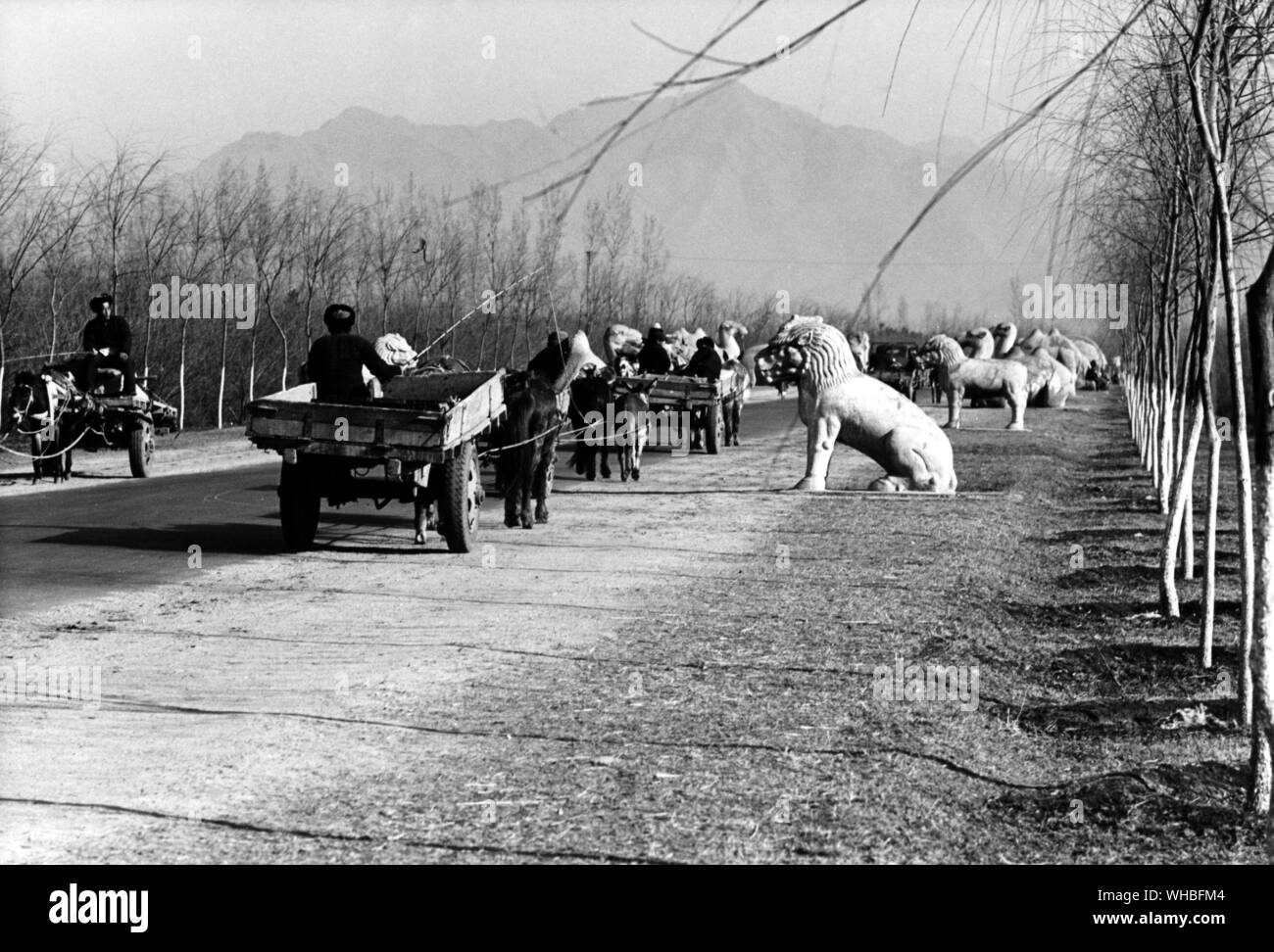 Peking - Ming Gräber. Skulpturen von Tieren Futter die Weise der Geister. Stockfoto