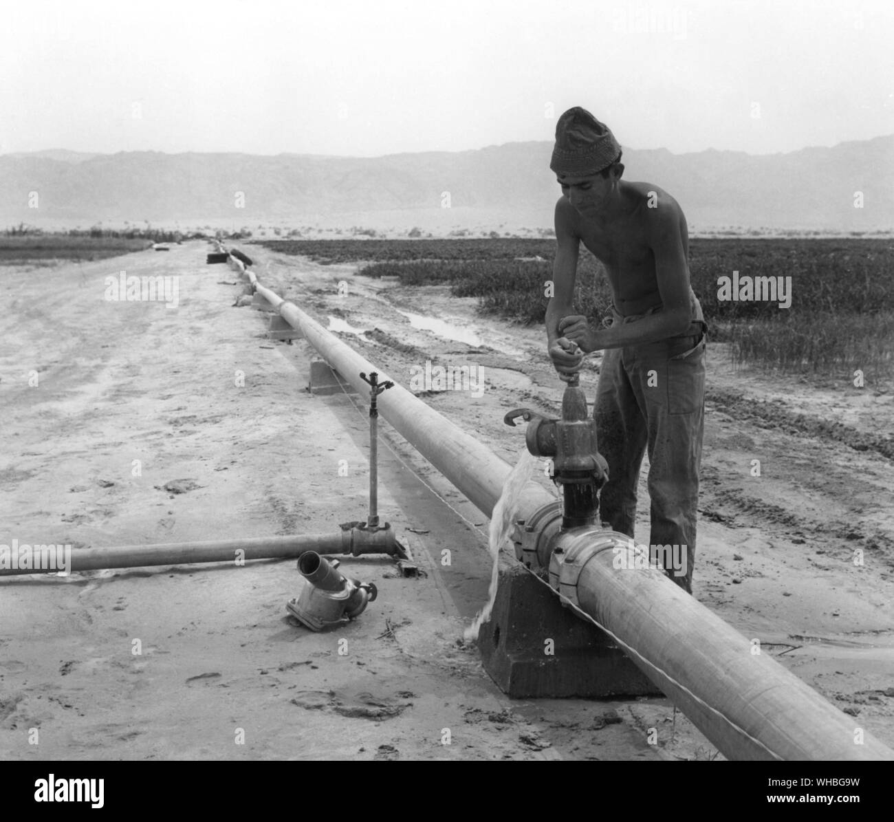 Bewässerung Rohre, Israel Stockfoto