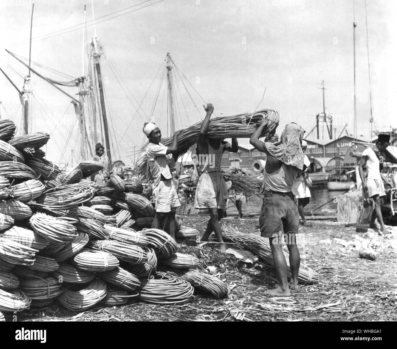 Entladen rattan von schonern in Makassar, Hauptstadt von Celebes, Indonesien. August 1951 Stockfoto