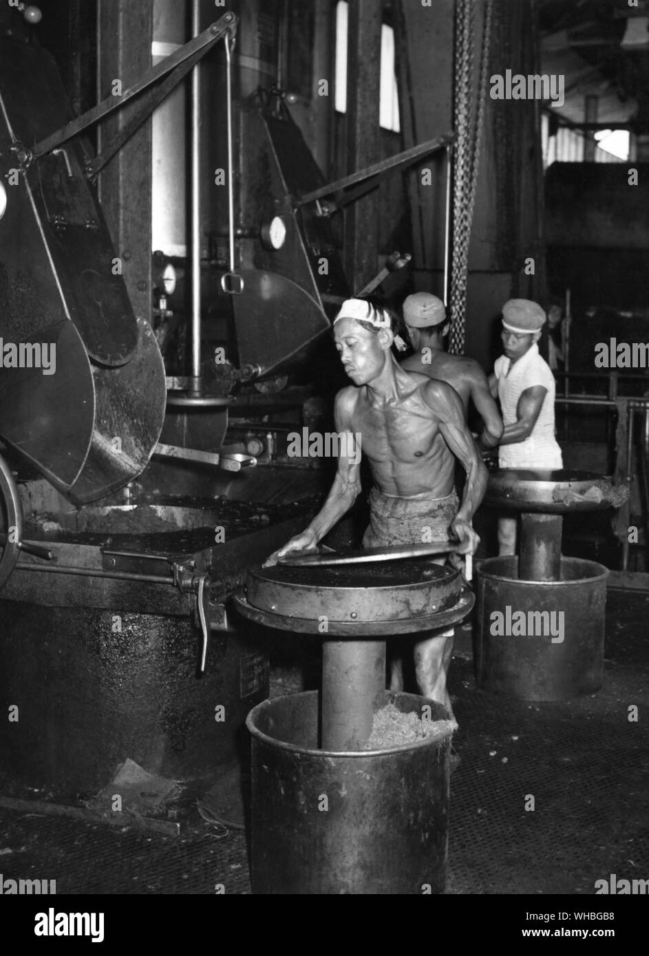 Palmöl Frucht ist in Pressen geladen und das Öl in großen Tanks unterhalb, in diesem Werk in Nordsumatra, Indonesien gesammelt Stockfoto