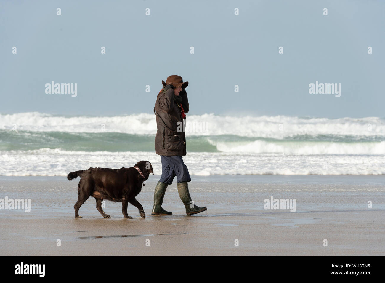 Gehen die Hunde an einem windigen Strand in Cornwall mit einem stürmischen Meer Stockfoto