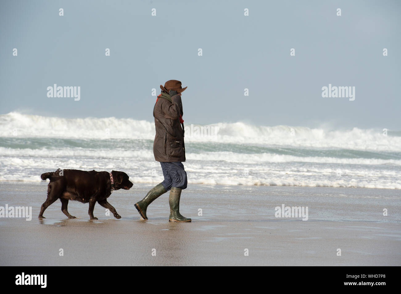 Gehen die Hunde an einem windigen Strand in Cornwall mit einem stürmischen Meer Stockfoto