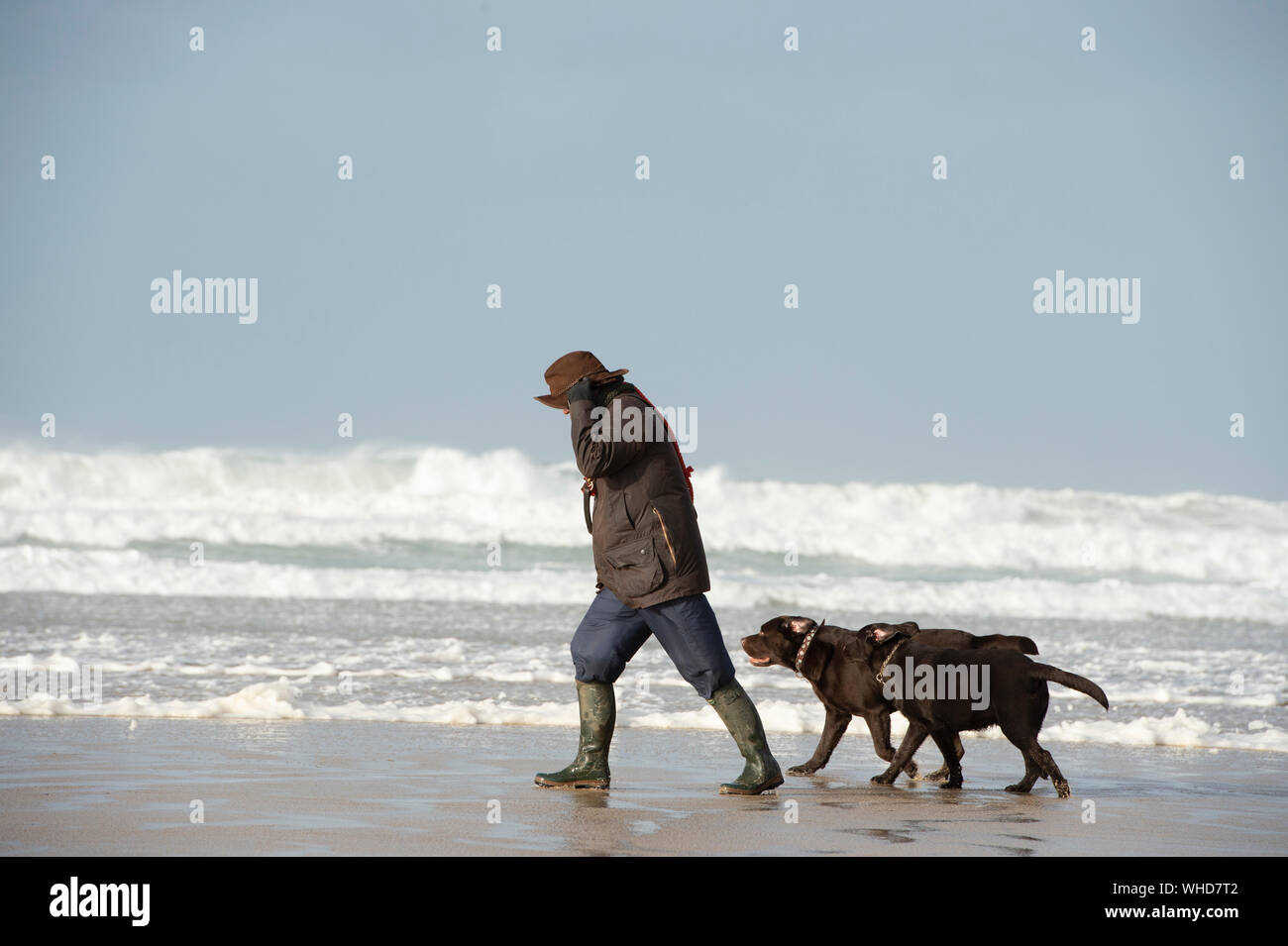 Gehen die Hunde an einem windigen Strand in Cornwall mit einem stürmischen Meer Stockfoto