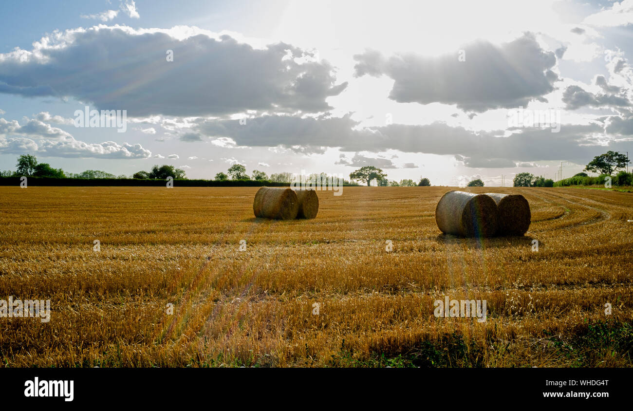 Gewitterwolken schweben über geerntetes Heu Felder in Buckinghamshire Stockfoto
