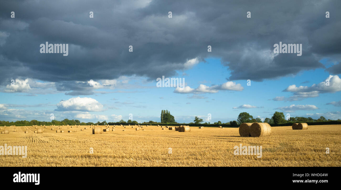 Gewitterwolken schweben über geerntetes Heu Felder in Buckinghamshire Stockfoto