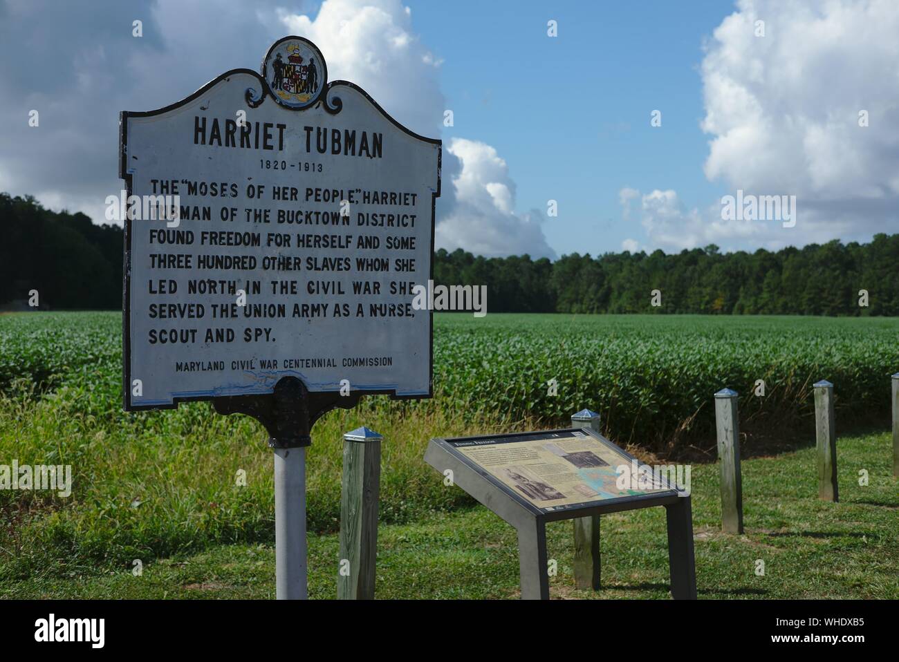 Brodess Farm. Ort der Kindheit Harriet Tubman's Home. Der ursprüngliche Bauernhof Gebäude existiert nicht mehr. Stockfoto