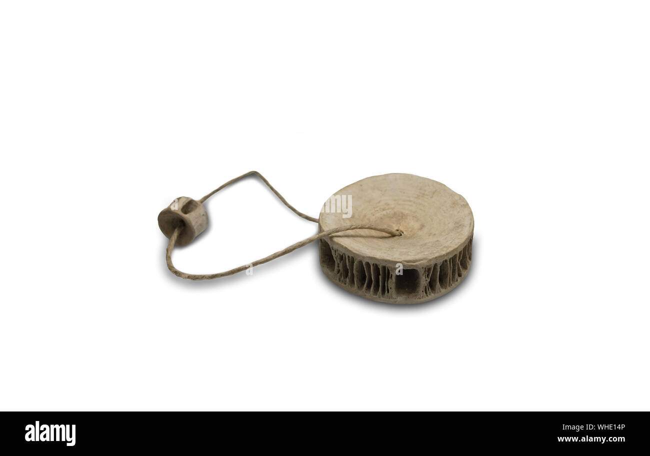 Córdoba, Spanien - 2. März 2017: Fisch Rückenmark Knochen Verzierung aus frühen Kupferzeit. Montilla History Museum Stockfoto