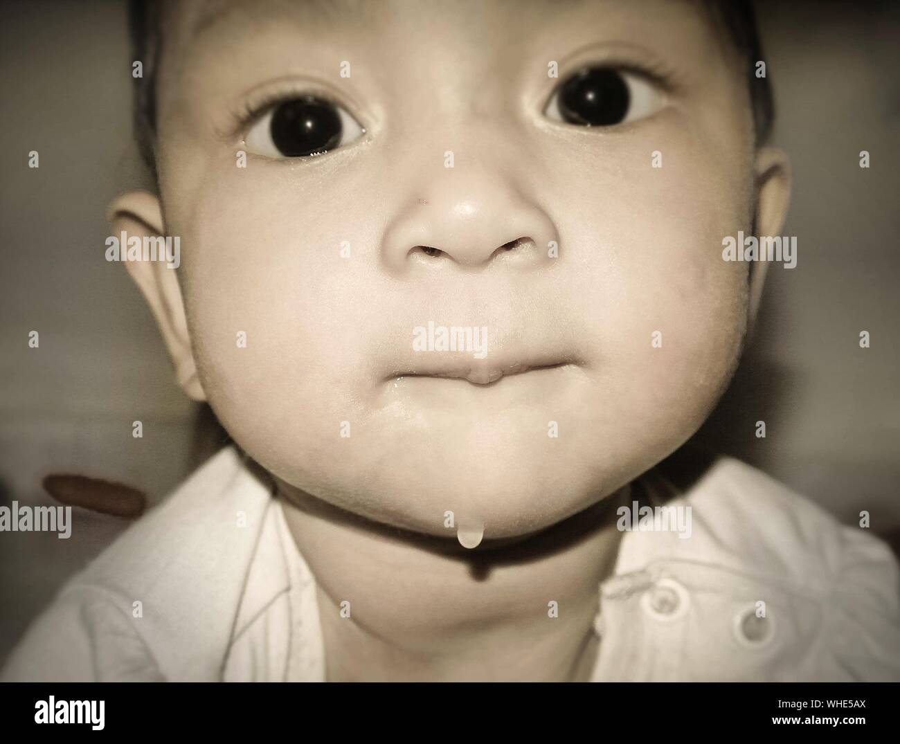 Baby Drooling Looking Camera Close Up Stockfotos Baby