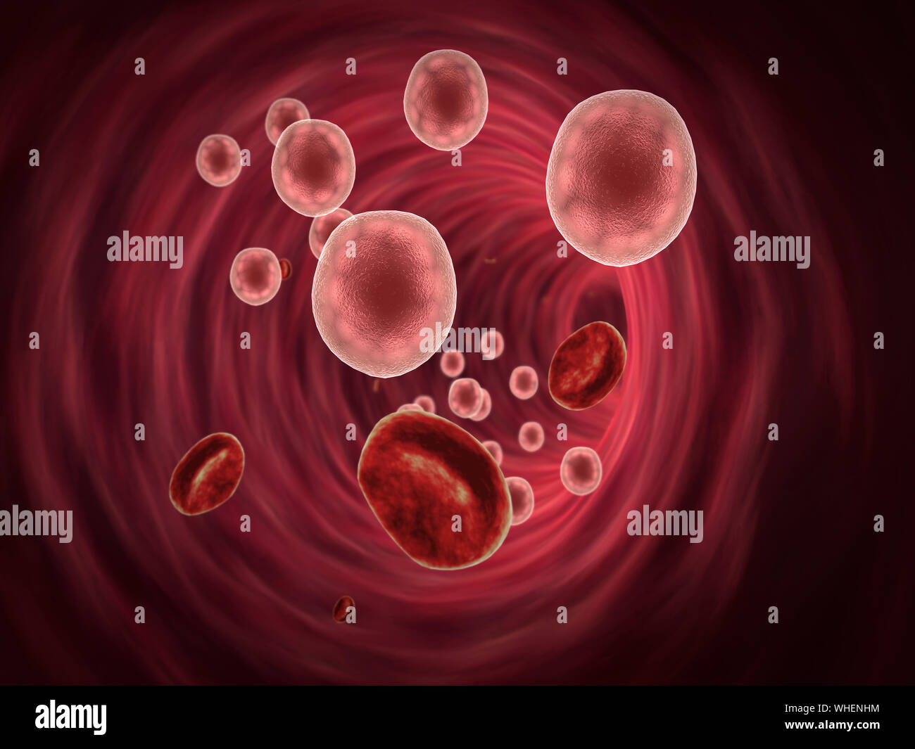 Innerhalb des Blutgefäßes, Insulin und Leukozyten im Blut, weiße Blutzellen, die weißen Blutkörperchen innerhalb der Blutgefäße, Hochwertige 3d Stockfoto
