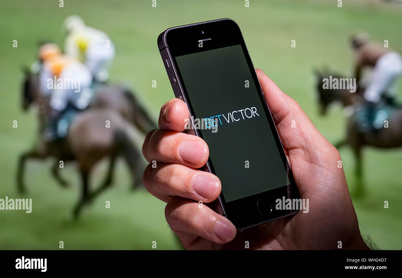 Ein Mann auf der Suche an der Wette Victor app-Webseite, während gerade der Pferderennen Stockfoto