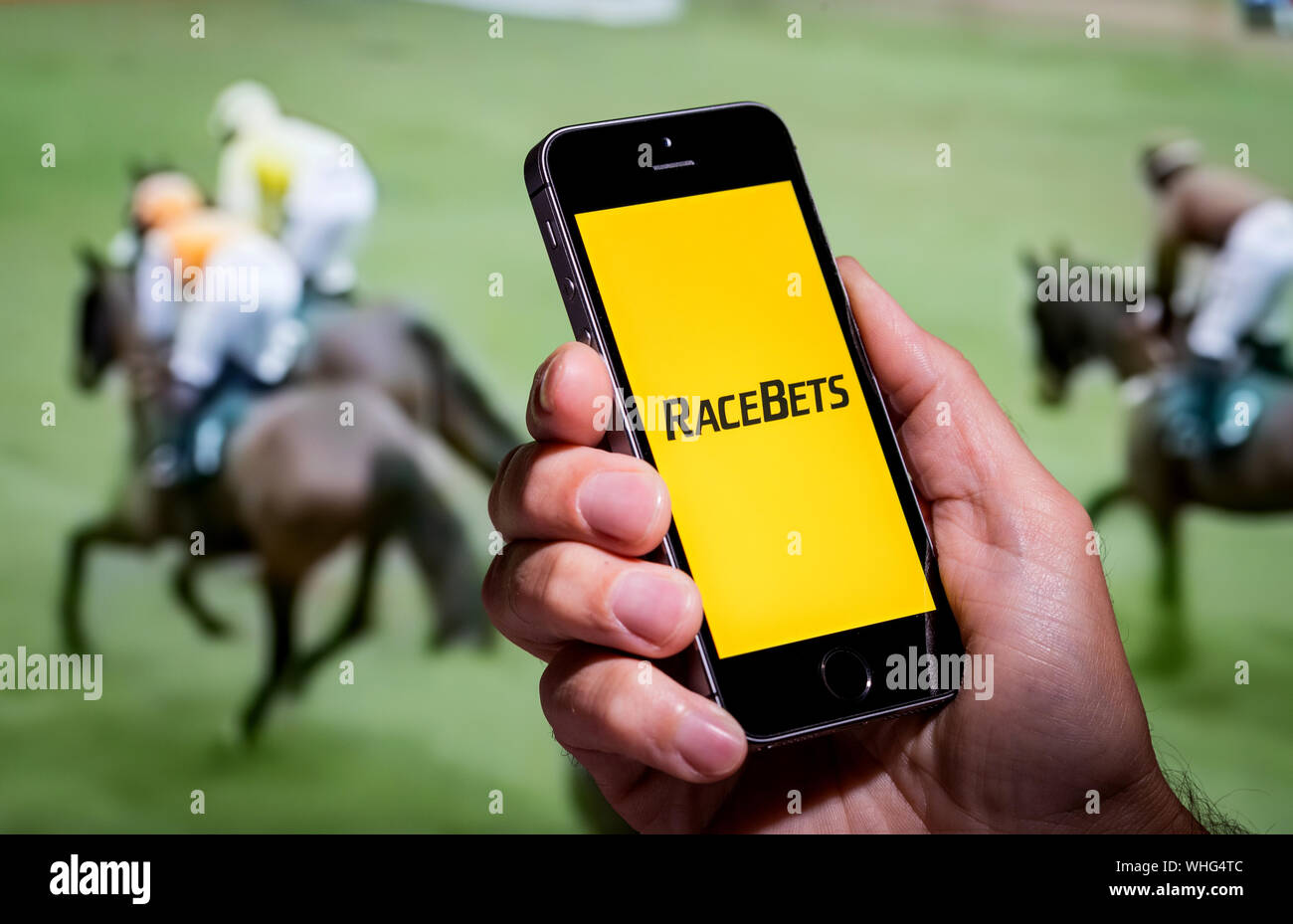 Ein Mann auf der Suche an der Racebets app-Webseite, während gerade der Pferderennen Stockfoto